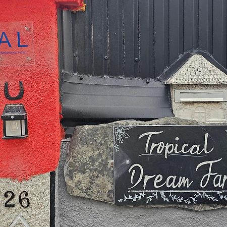 Tropical Dream Farm Hotel Vouzela Ngoại thất bức ảnh