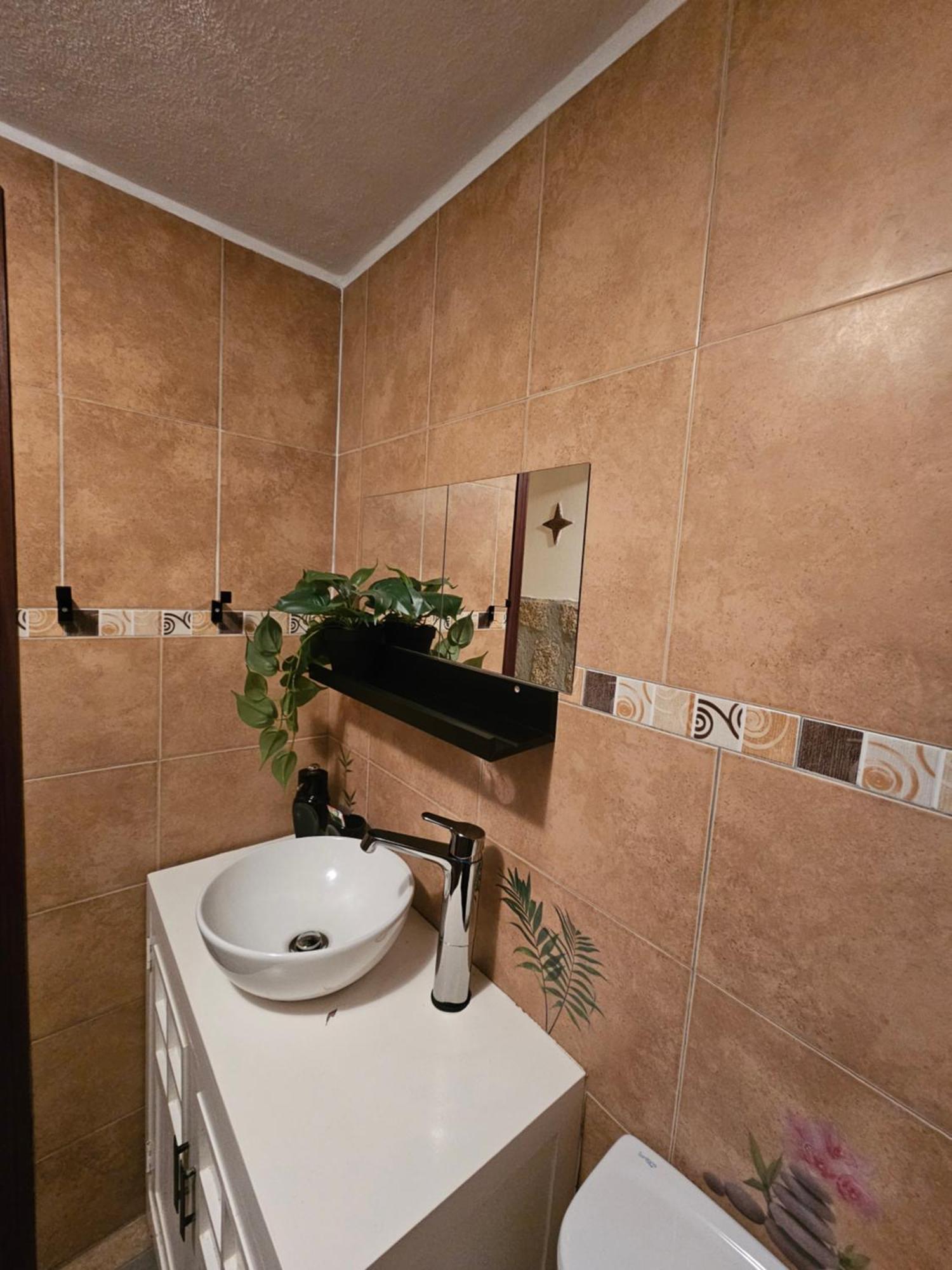Tropical Dream Farm Hotel Vouzela Ngoại thất bức ảnh