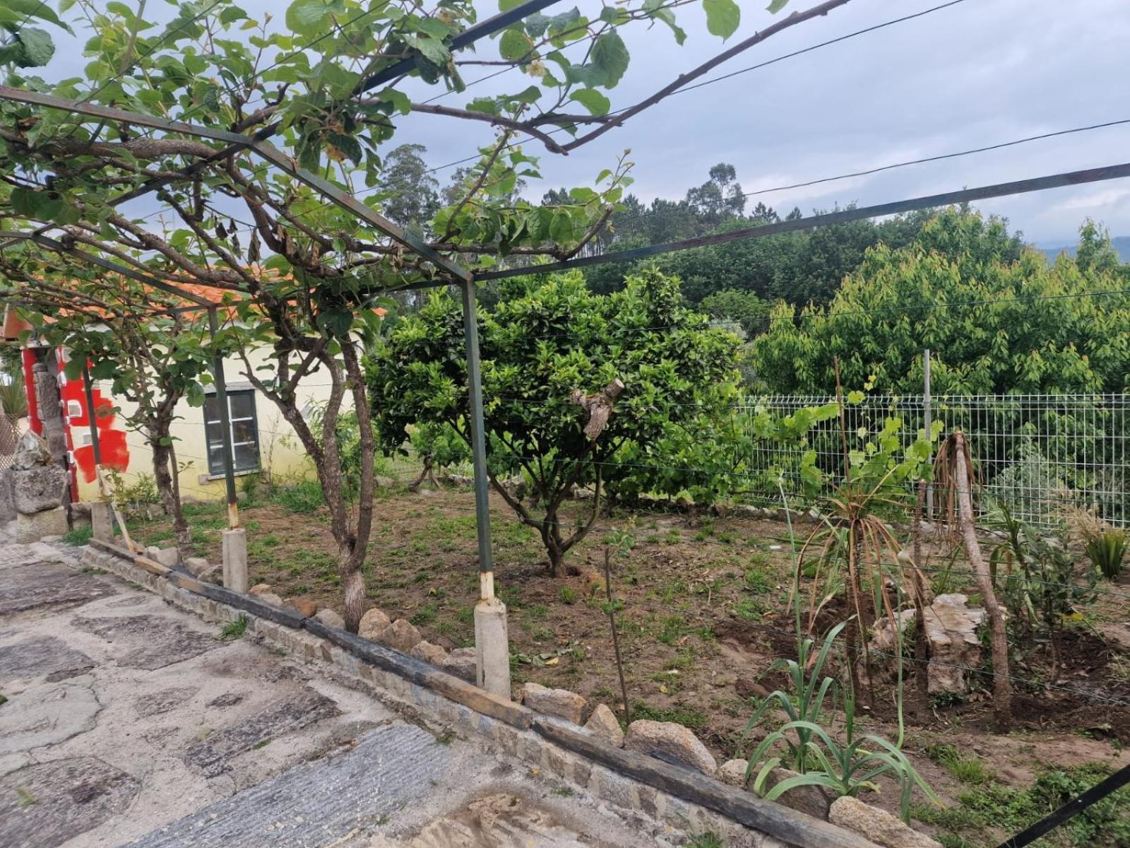 Tropical Dream Farm Hotel Vouzela Ngoại thất bức ảnh
